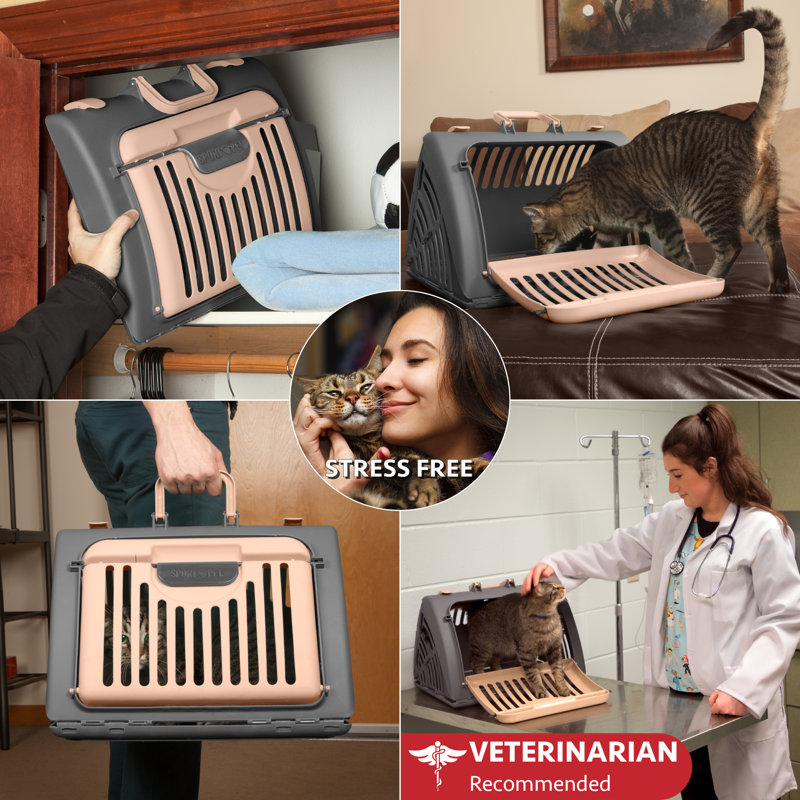 Tucker Murphy Pet™ Haley Pet Travel Carrier & Reviews Wayfair